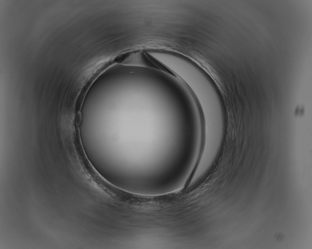 X0000090440485200708031157