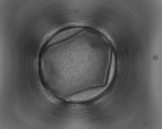 X0000090440486200708031157