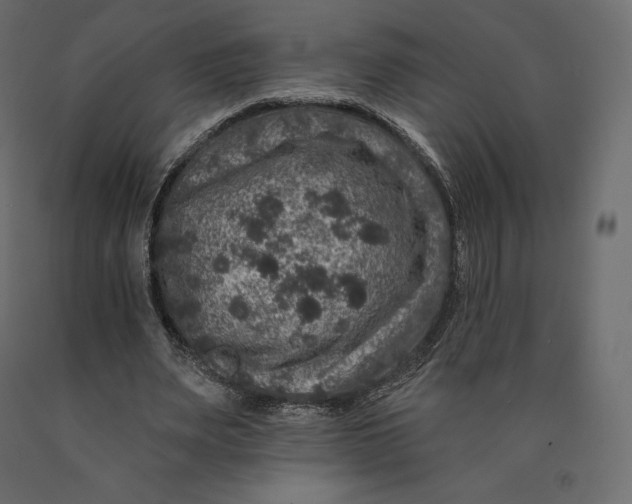 X0000090440487200708031157