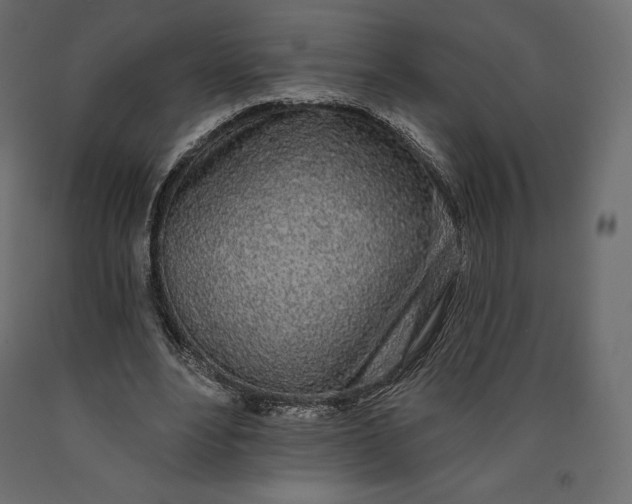 X0000090440488200708031157