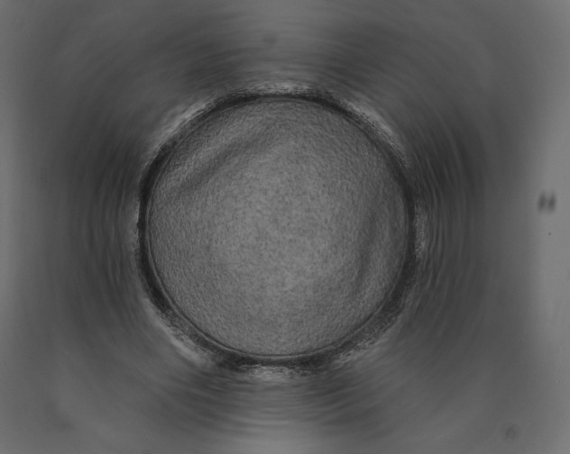 X0000090440490200708031157