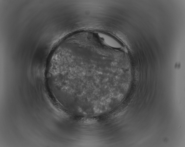 X0000090440491200708031157