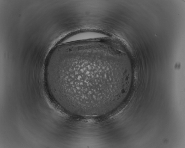 X0000090440492200708031157