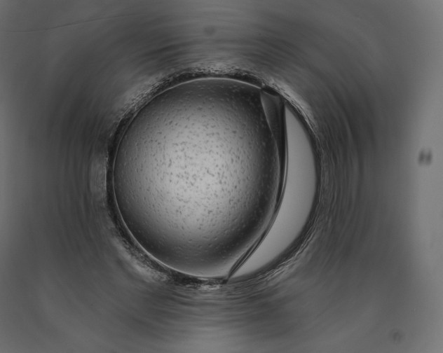 X0000090440493200708031157