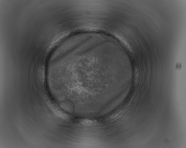 X0000090440494200708031157