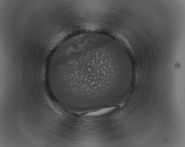 X0000090440496200708031157