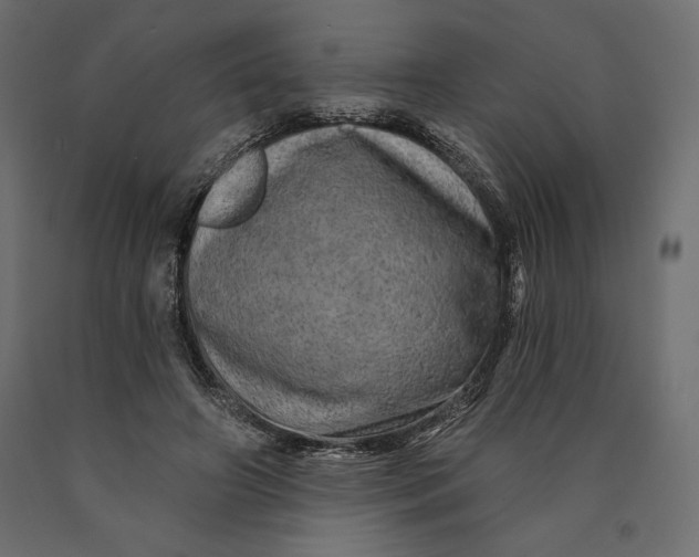 X0000090440498200708031157