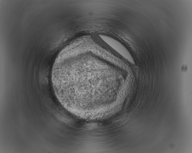 X0000090440499200708031157