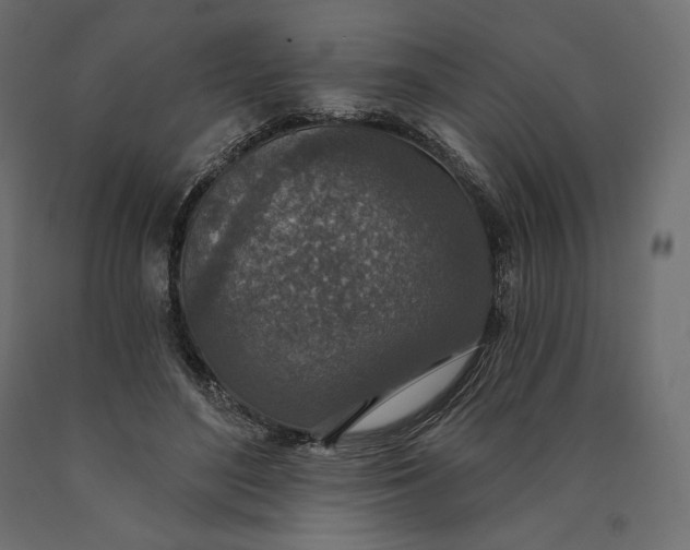 X0000090440500200708031157