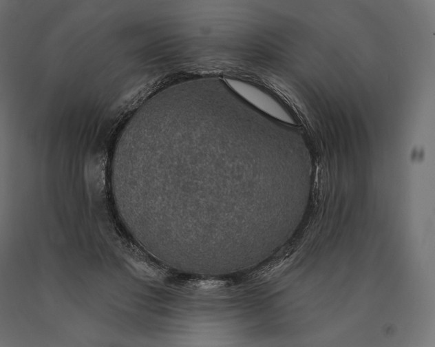 X0000090440501200708031157