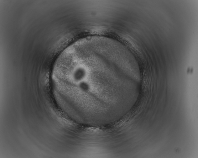 X0000090440502200708031157