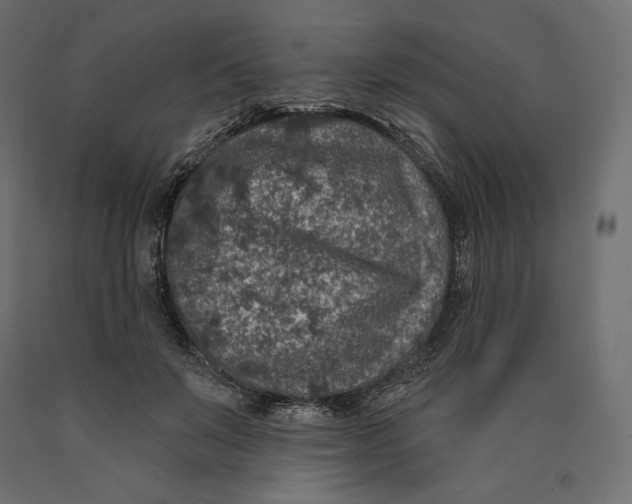 X0000090440503200708031157