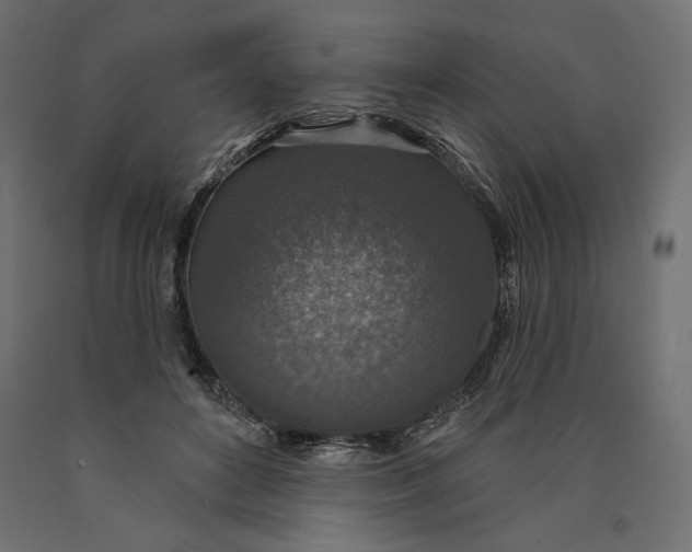 X0000090440504200708031157