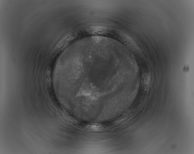 X0000090440506200708031157