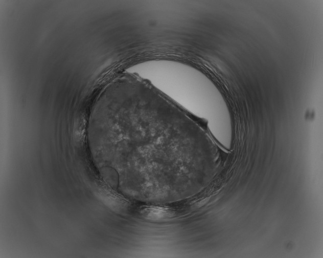 X0000090440507200708031157