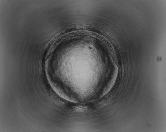 X0000090440508200708031157