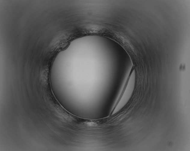 X0000090440509200708031157