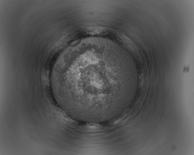 X0000090440510200708031157