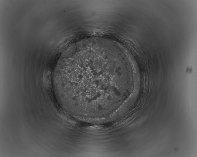 X0000090440511200708031157