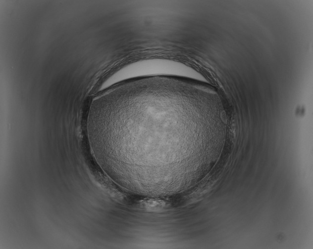 X0000090440512200708031157