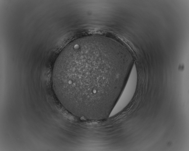 X0000090440513200708031157