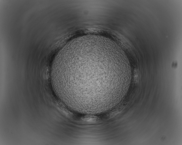 X0000090440514200708031157