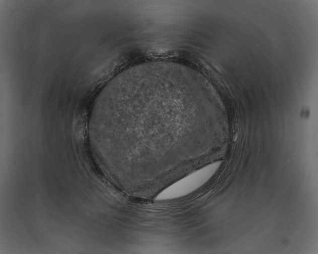 X0000090440515200708031157