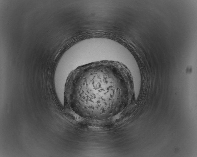 X0000090440516200708031157