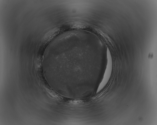 X0000090440517200708031157