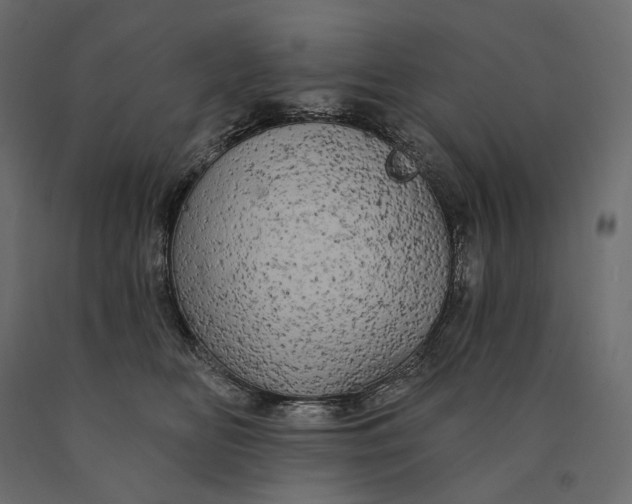 X0000090440518200708031157