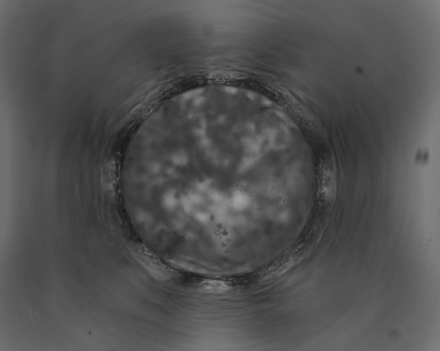 X0000090440519200708031157