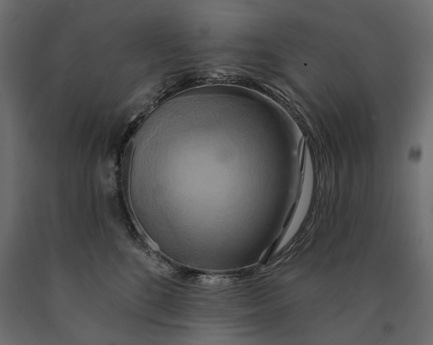 X0000090440520200708031157