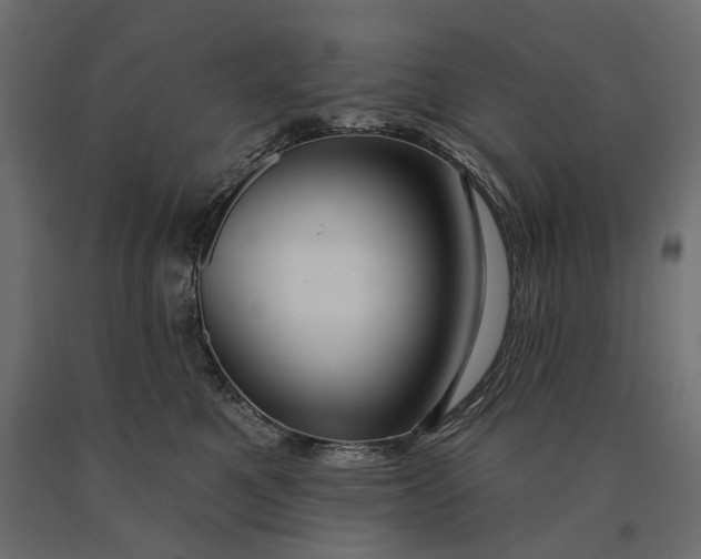 X0000090440521200708031157