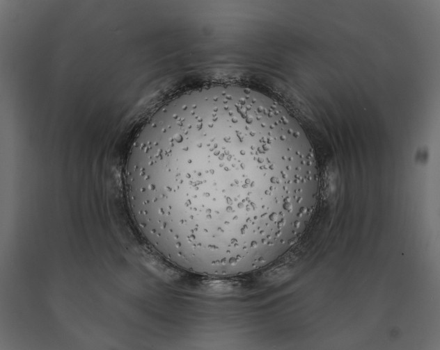 X0000090440522200708031157