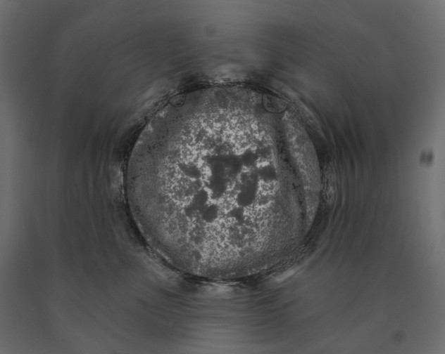 X0000090440523200708031157