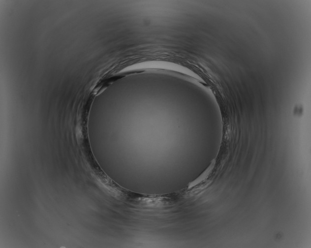 X0000090440524200708031157