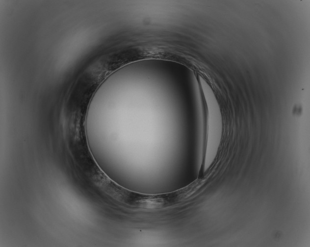 X0000090440525200708031157