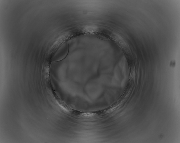 X0000090440526200708031157