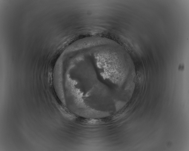 X0000090440527200708031157