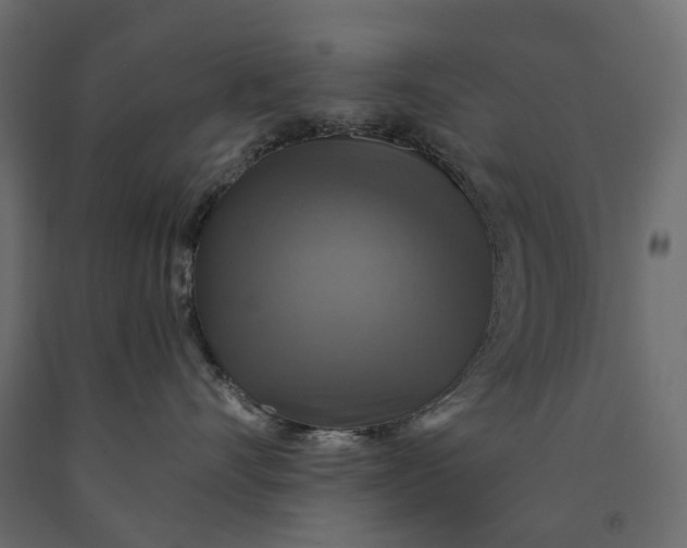 X0000090440528200708031157