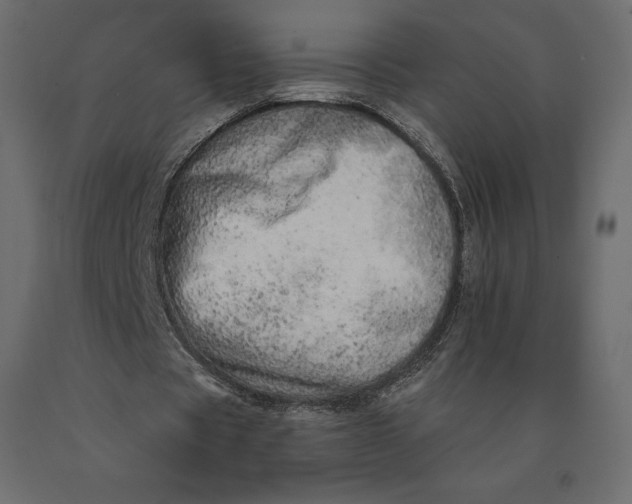 X0000090440529200708031156