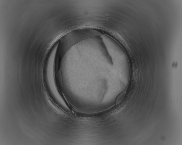 X0000090440530200708031156