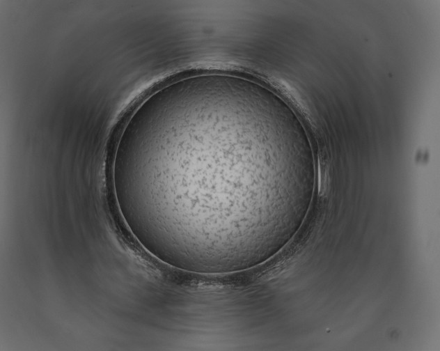 X0000090440531200708031156