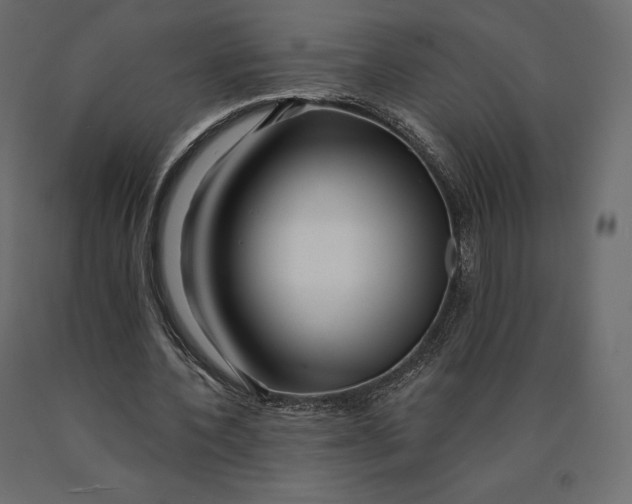 X0000090440532200708031156