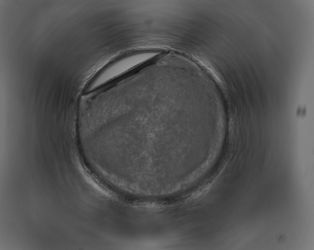 X0000090440533200708031156