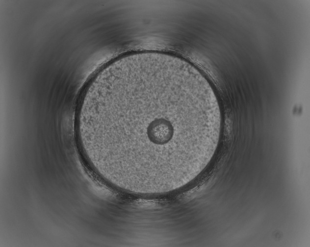 X0000090440534200708031156