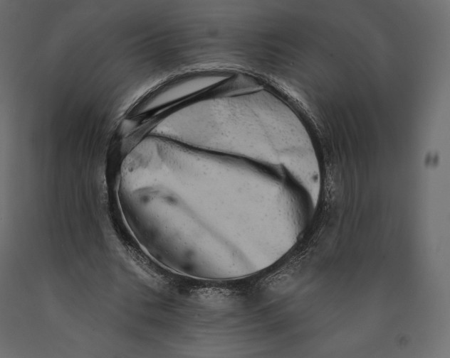 X0000090440535200708031156