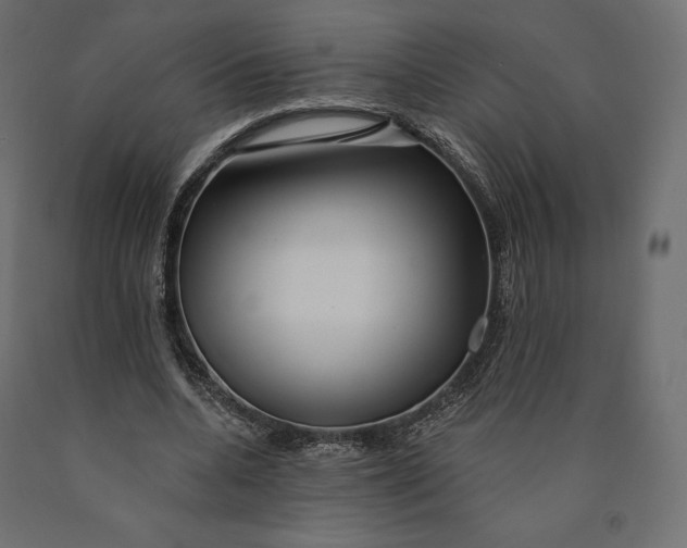 X0000090440536200708031156