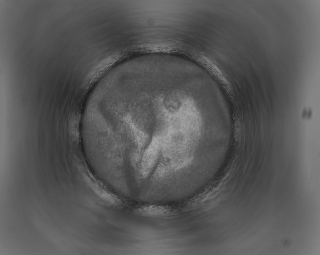 X0000090440537200708031156