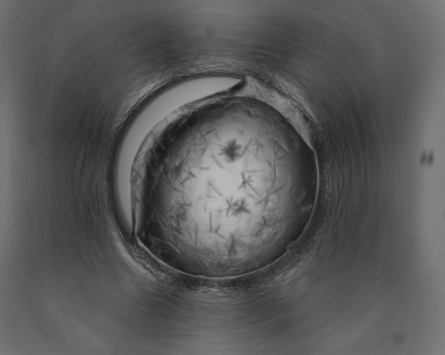 X0000090440538200708031156